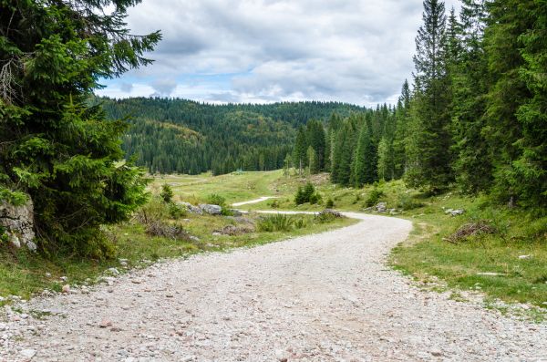 Gravel Road Grading in Shelton