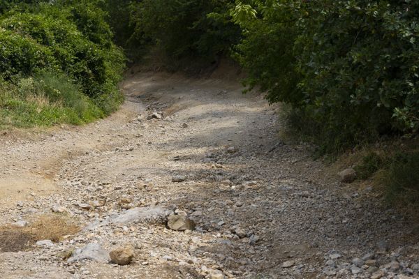 Gravel Road Pothole Repair in Shelton