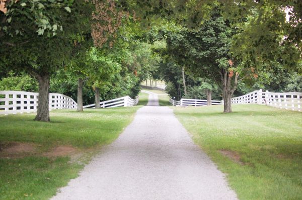 Gravel Driveway Construction in Shelton