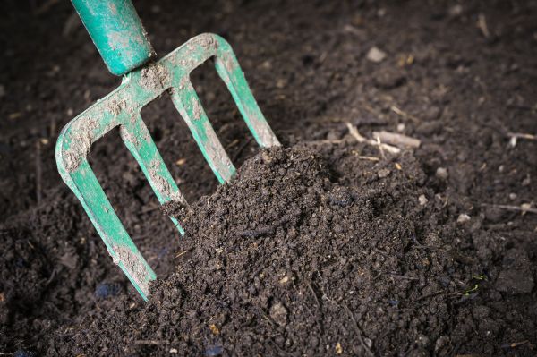 Topsoil Spreading in Shelton