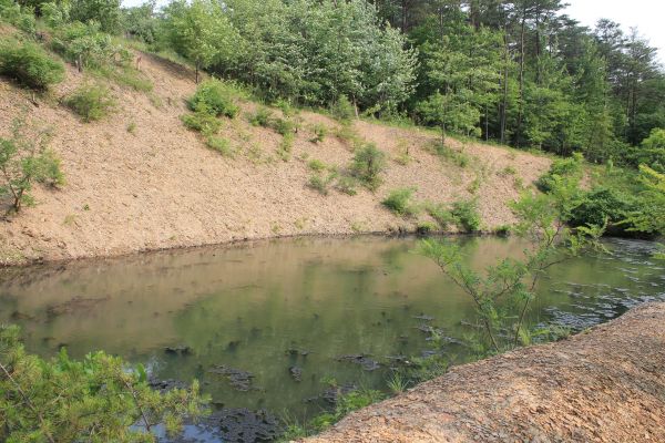 Pond Erosion Repair in Shelton