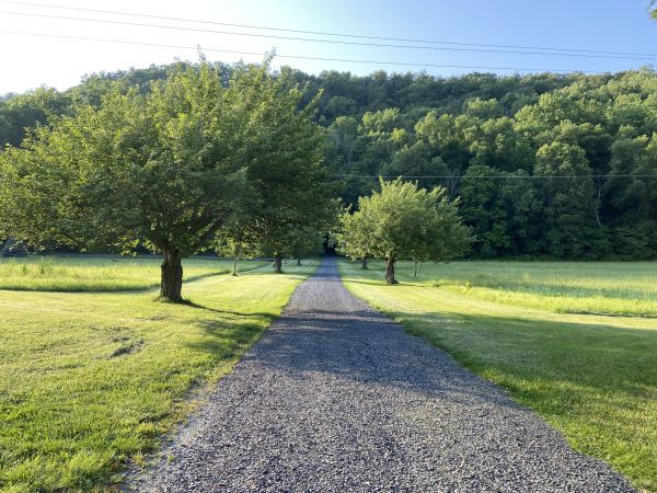 Gravel Road Construction in Shelton
