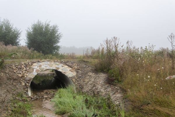 Culvert Excavation in Shelton